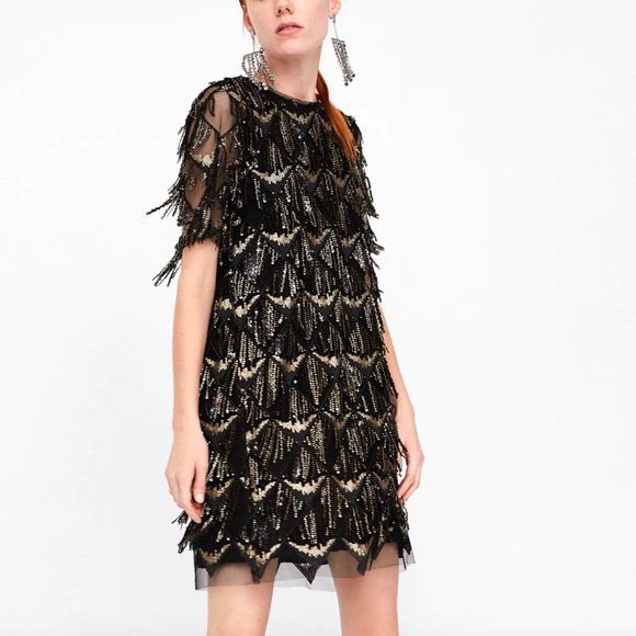 Zara Fringe Sequin Cocktail Dress 